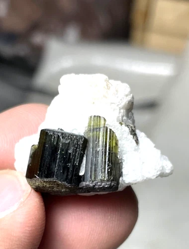Tourmaline Crystal Specimen — 39 ct, Pakistan (Skardu)