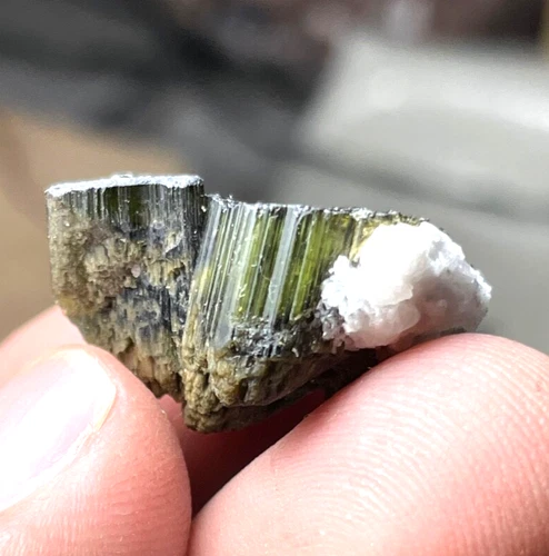 Tourmaline Crystal Specimen — 33 ct, Pakistan (Skardu)