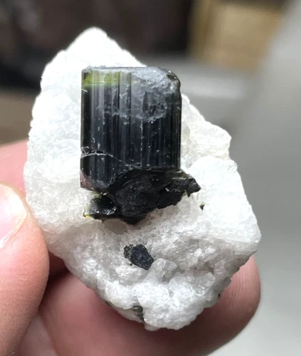 Tourmaline Crystal Specimen — 80 ct, Pakistan (Skardu)