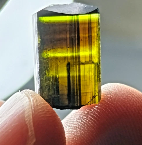 Green Tourmaline Crystal Specimen — 19 ct, Pakistan