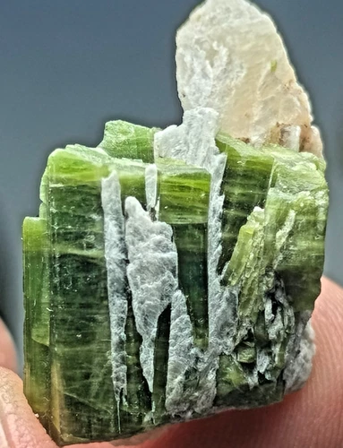 Cat's-Eye Tourmaline Crystal Specimen — 40 ct, Afghanistan