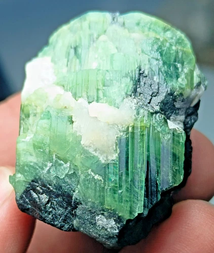 Cat's-Eye Tourmaline Crystal Specimen — 40 ct, Afghanistan