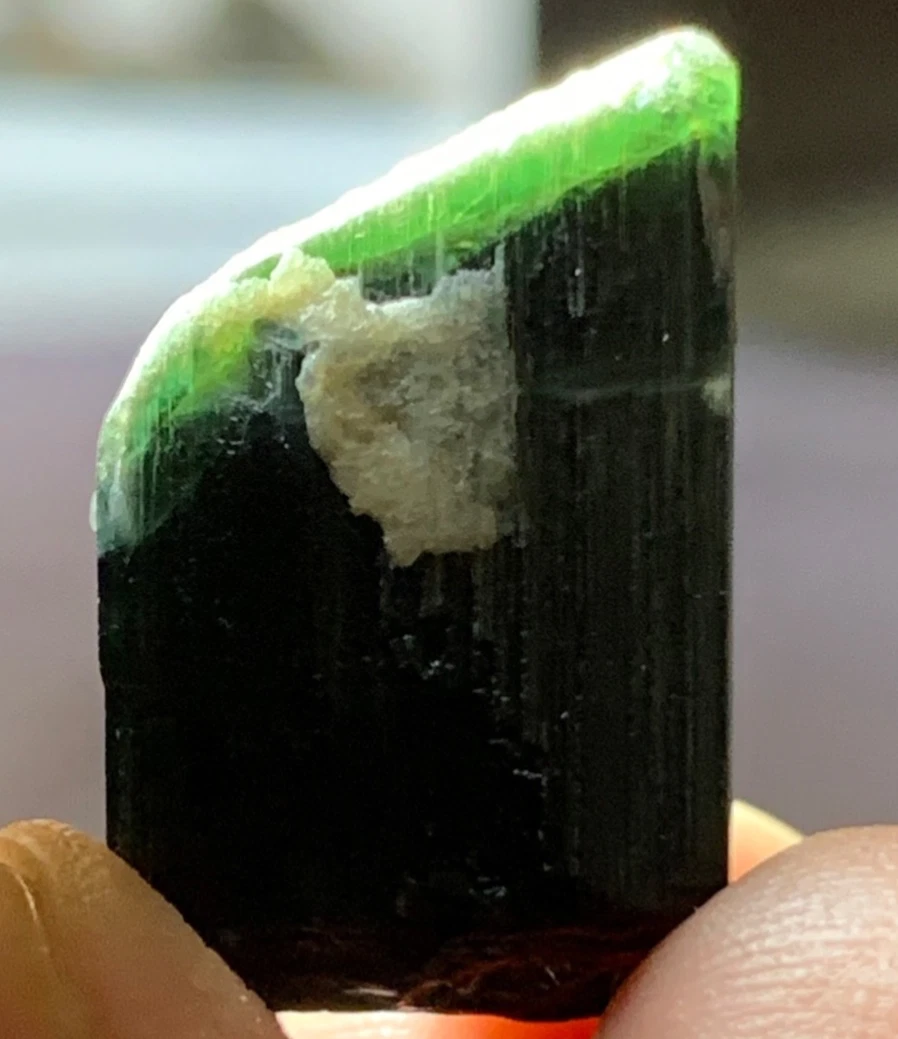 Green Tourmaline Crystal Specimen — 24 ct, Afghanistan