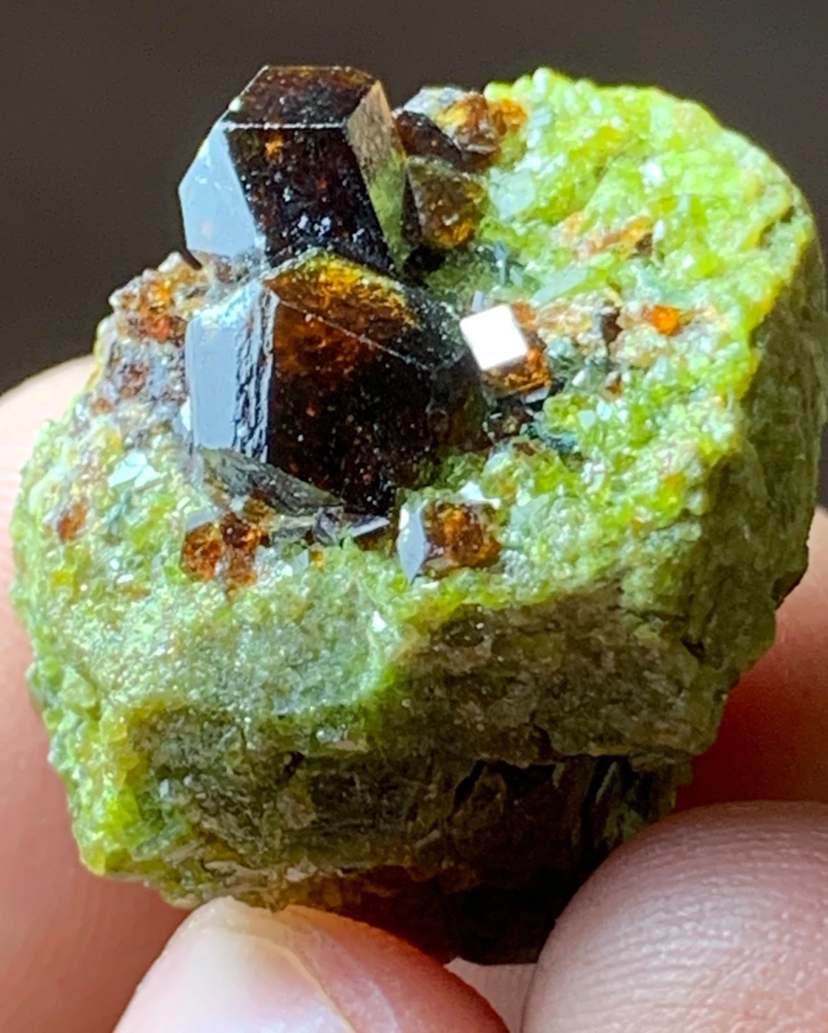 Red Garnet Crystal Specimen — 70 ct, Pakistan (Skardu)