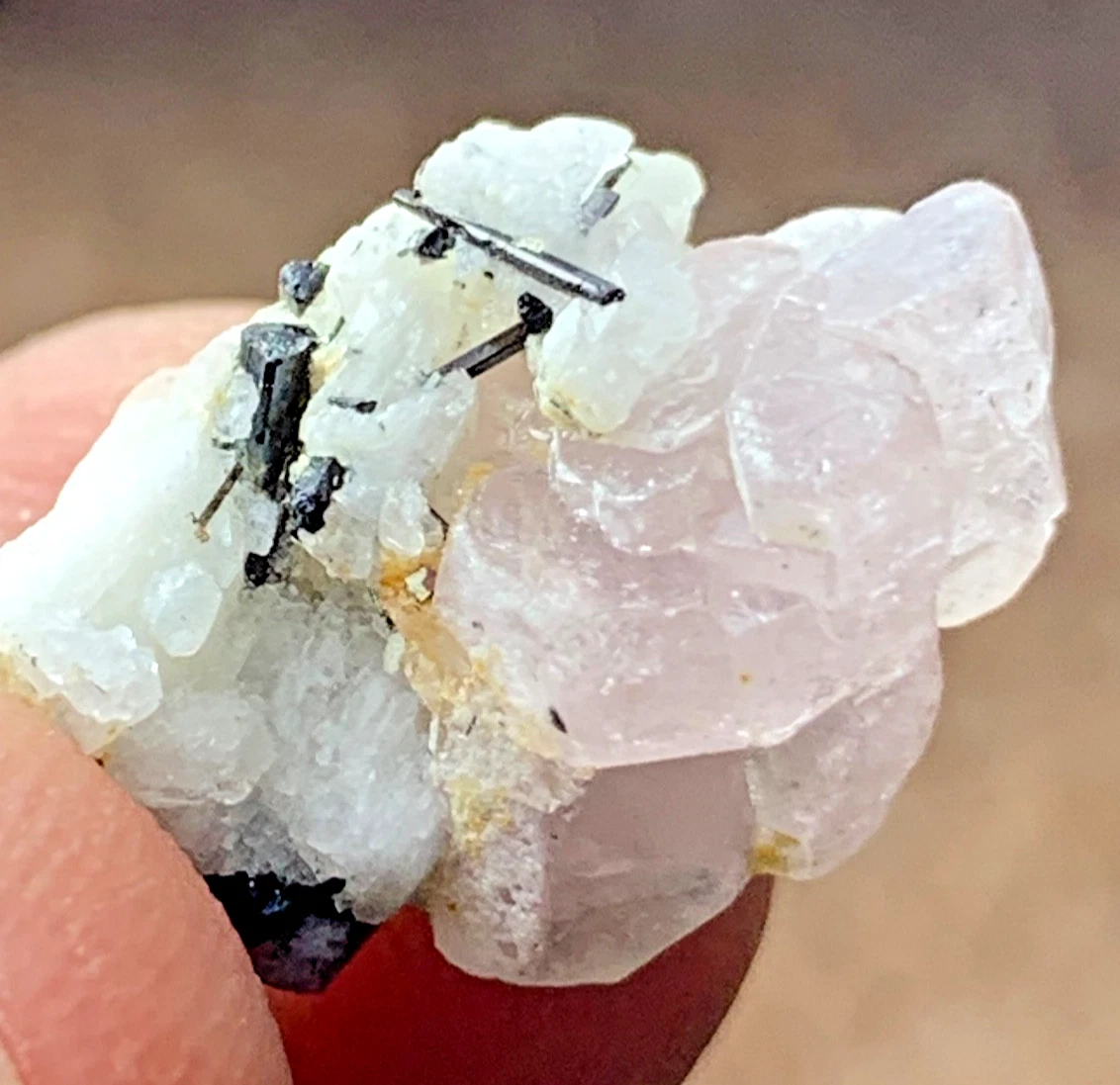 Pink Apatite Crystal Specimen — 10 ct, Pakistan